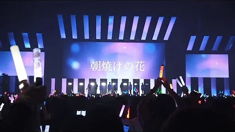 朝焼けの花