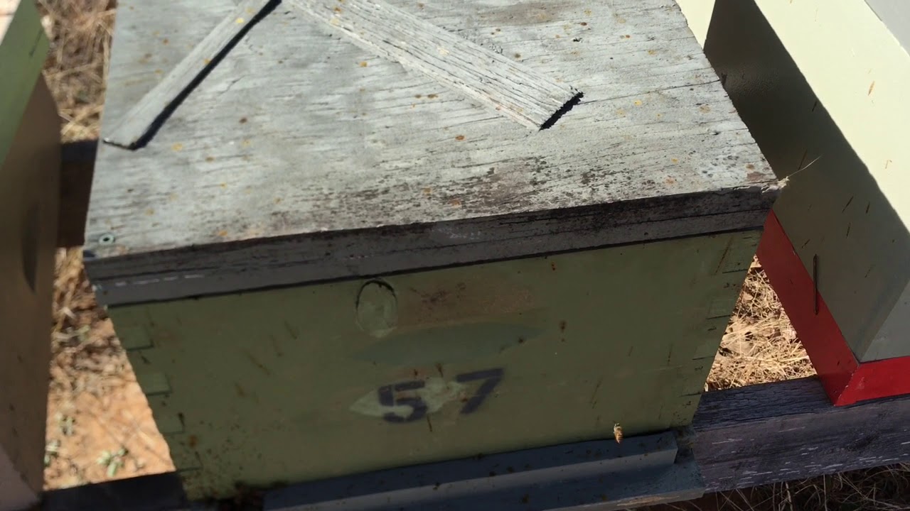 Update on Brad’s Removal YouTube