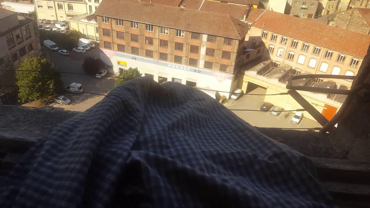 Watch letting a martin bird go out of the window. they fly 750km per day. cute animal on YouTube Watch letting a martin bird go out of the window. they fly 750km per day. cute animal on YouTube