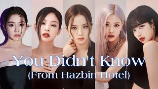 BLACKPINK - You Didn’t Know (ft. Irene) I AI Cover + Lyrics (Hazbin Hotel OST) Resimi