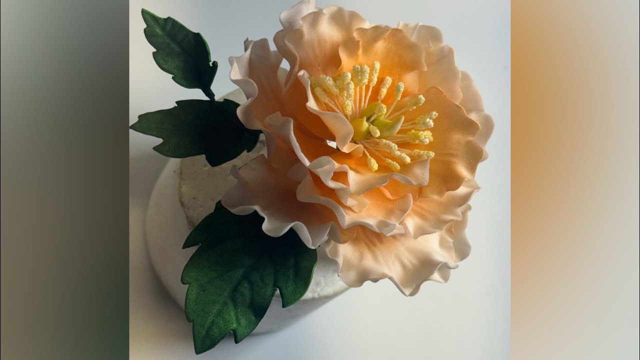 Clase 3 del curso de flores en pasta de goma, Rosa Peony