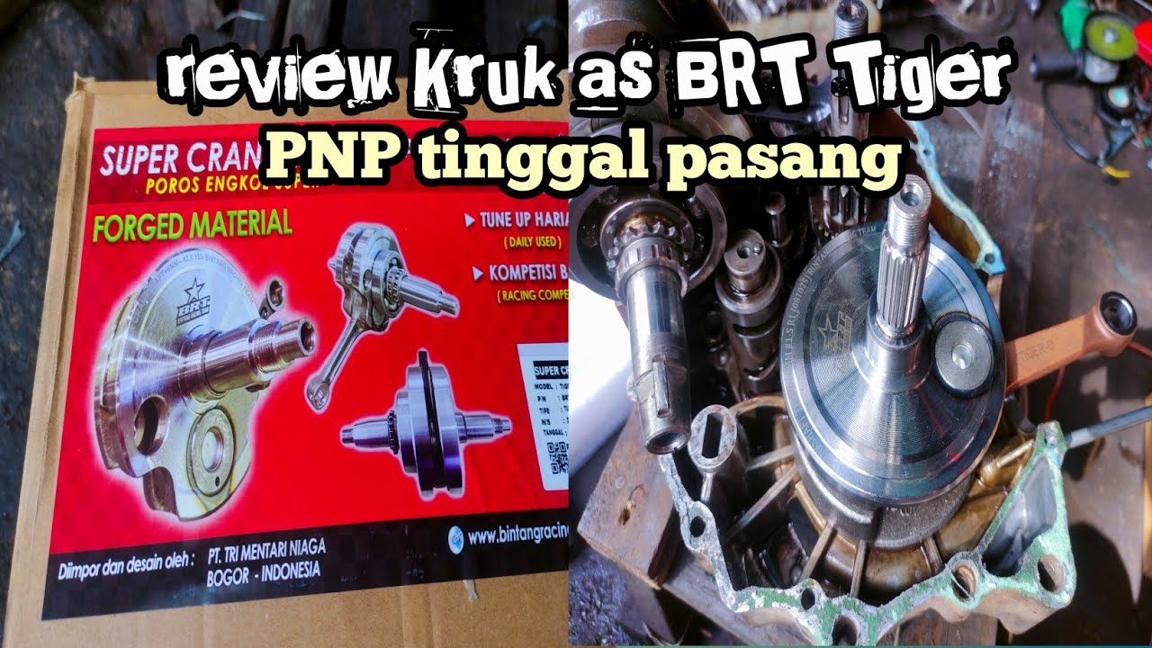 Обзор Kruk как BRT 68 PNP Tiger