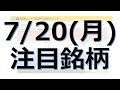 【7月20日(月)の注目銘柄】本日の株式相場振り返りと明日の注目銘柄を解説