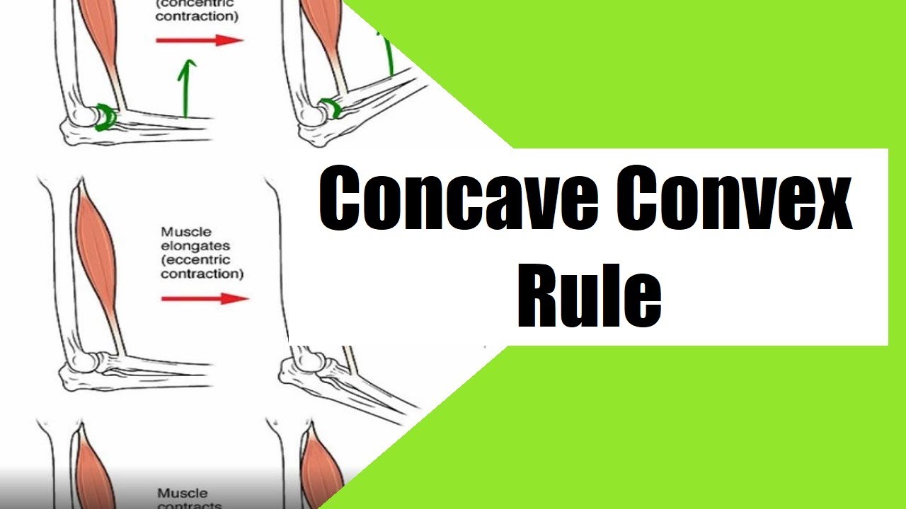 Concave Convex Rule Arthrokinematics Orthopedics Surgery Youtube