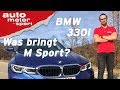 BMW 3er 330i G20 (2019): Was bringt M Sport? - Vorfahrt (Review) I auto motor und sport