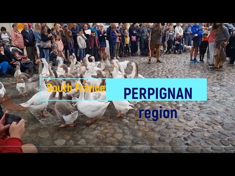 PERPIGNAN, South France