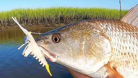3 Tips To Catch Shallow Water Redfish