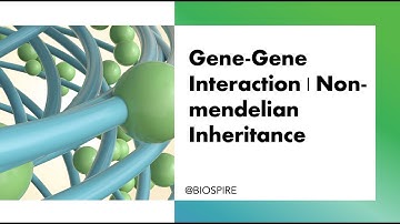 Genetics | Gene-Gene Interaction | Non-mendelian Inheritance | CSIR NET Life science