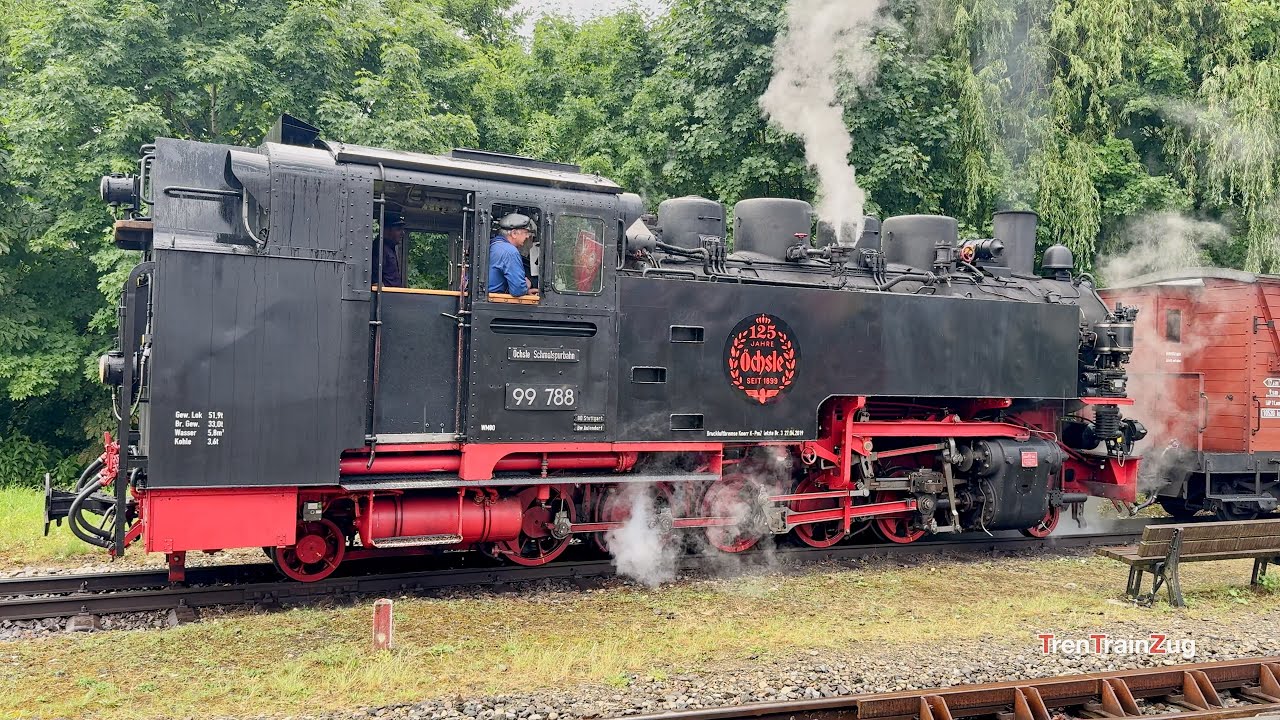 4K Dampflokomotive Öchsle Bahn, Deutschland. Steam Locomotive 2025
