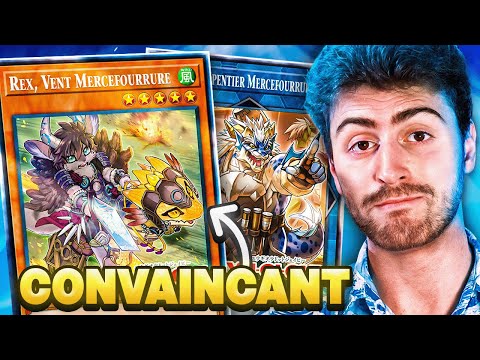 The combo in this deck is AMAZING (React Fur Mercenary)