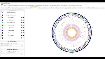 Viewing your private genome from the annotation results page