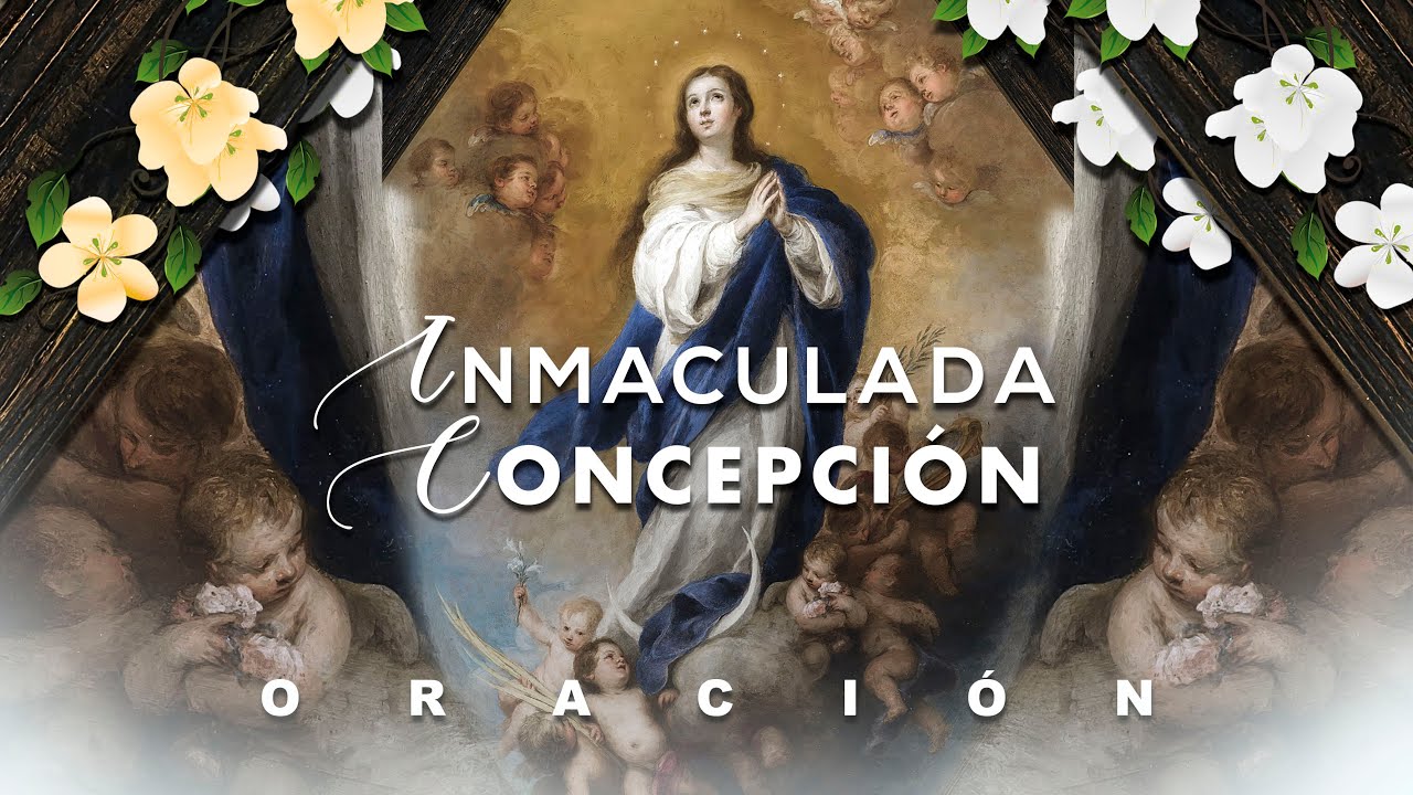 Oración a la Inmaculada Concepción de la Virgen María | 8 de Diciembre
