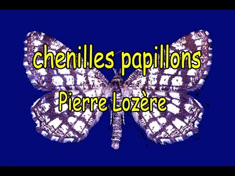 TÉLÉCHARGER MADAME CHENILLE VERSINI