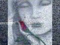 قصيدة عمَارة نصيرة -عد أيها الغائب