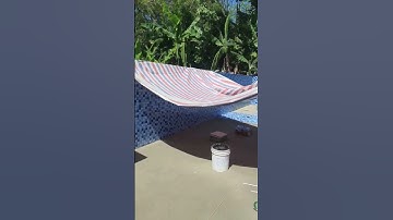 làm ốp gạch music sướng không ae