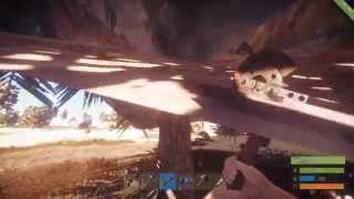 Rust bug