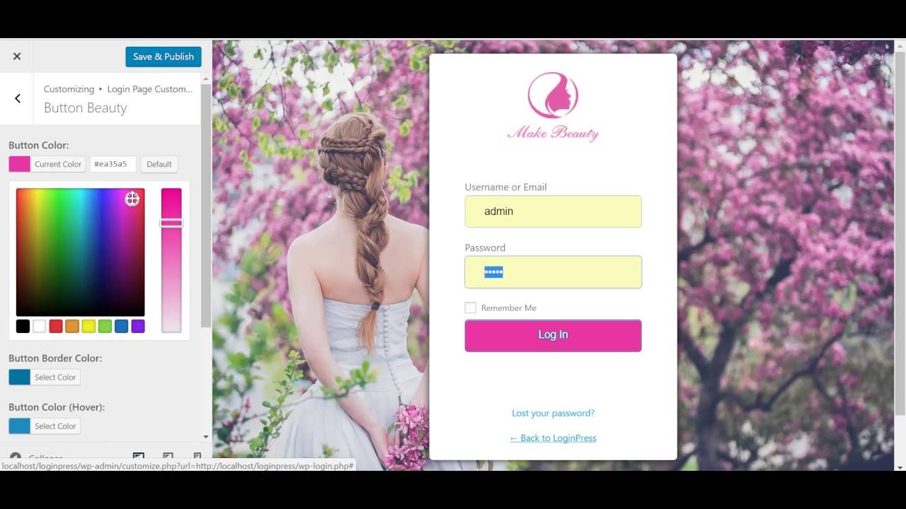 LoginPress - Customizing the WordPress Login Page