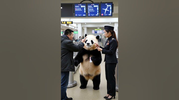 푸바오 한국 귀국 비하인드 스토리🐼 #판다 #panda #푸바오
