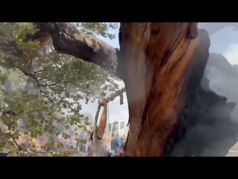 الحرائق في سهل الغاب في ريف حماة تعود للاشتعال