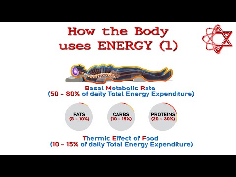Cum folosește corpul energia (episodul 1)