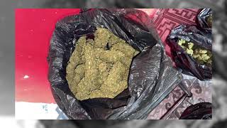 Operación “Begoña” permite incautar 57 plantas y 1.700 gramos de marihuana