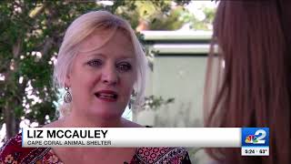 Lee County animal shelters becoming overcrowded