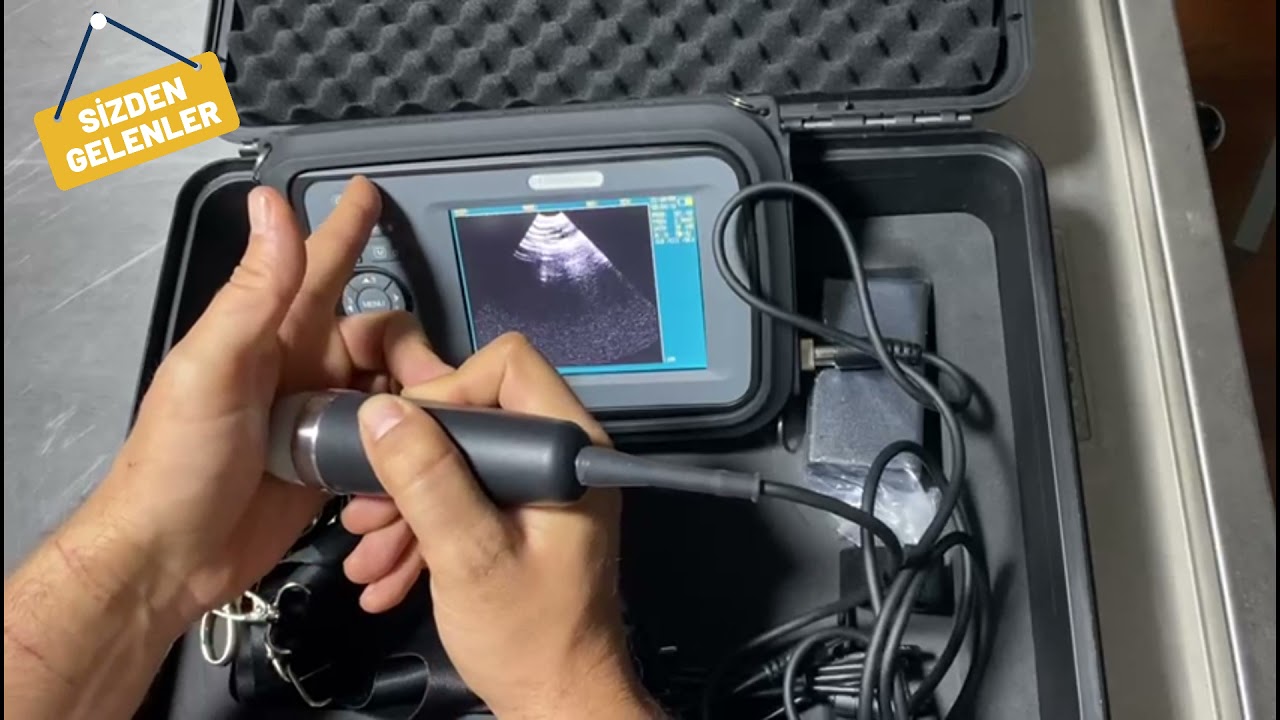Selvet V7 Portable Ultrasound for Veterinarians