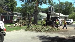 The city piles debris from a storm on my neighbor's front lawn screenshot 4