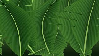 Details Tropical leaves 4k Visual Loop | Python + Taichi CUDA | 60 FPS Guide