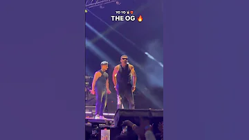 YO YO HONEY SINGH//CONCERTS IN XIM BHUBANESWAR