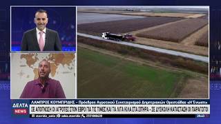Σε απόγνωση οι Αγρότες στον Έβρο για τις τιμές και τα λίγα κιλά στα σιτηρά | 17.07.2026