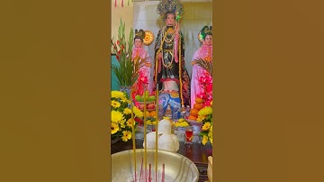 P1-Miếu Cây Trôm quận 2, xin xăm rất linh và đúng #phatphap #tamlinh #khampha