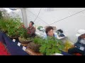 [봄여행] 단양 구경시장,토종마늘순대,도담삼봉