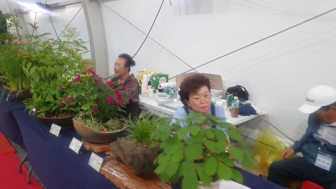 [봄여행] 단양 구경시장,토종마늘순대,도담삼봉
