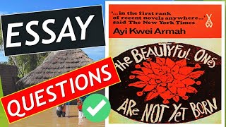 the beautyful ones are not yet born - essay questions by ayi kwei armah