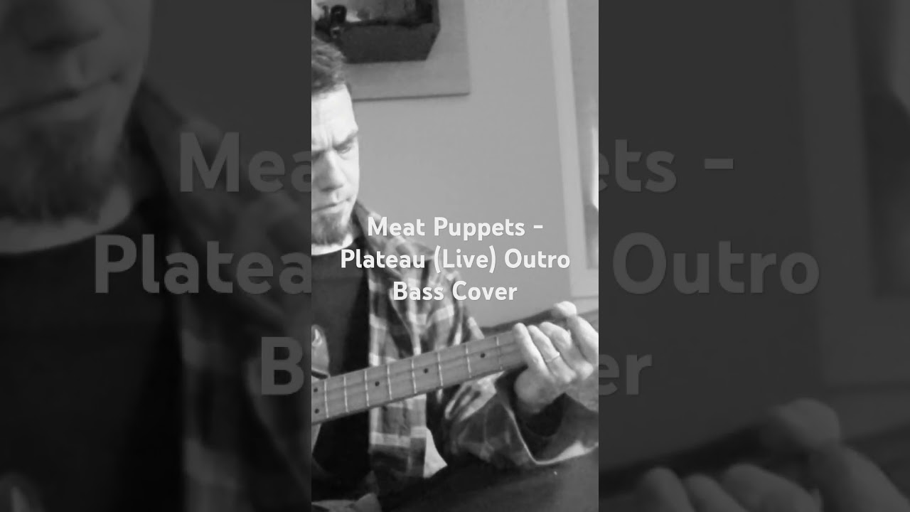 Meat Puppets - Plateau Outro bass guitar cover