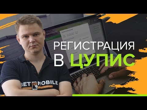 ЦУПИС регистрация и идентификация | Привязать счет к БК