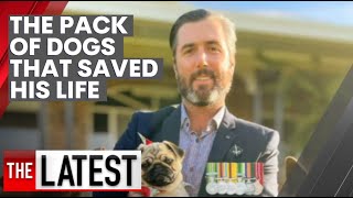 The pack of dogs that saved a soldier's life  | 7NEWS