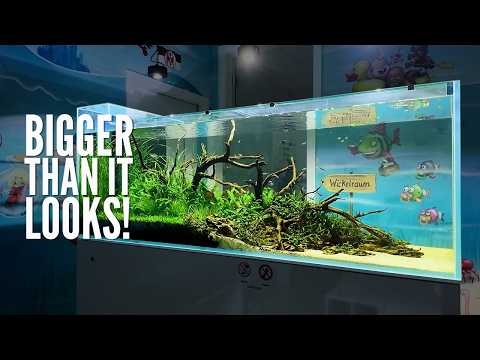 I made a beautiful 6 foot room divider aquarium for a kids dentist