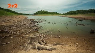 Каких легендарных гигантов нашли в джунглях Амазонии