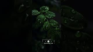 #hashtag #news#viralshorts #explorer#naturelover #photographylovers#trendingreels #reelsvideo#bgm screenshot 3