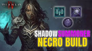 Diablo 4 - Shadow Summoner Necromancer Build! Early Game! (Necromancer Build Guide)