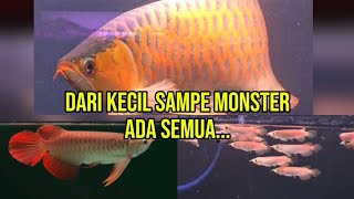 FROM SMALL TO MONSTER, WE HAVE IT ALL...