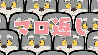 【マロ返し】やぁ！GW最終日の昼に何してるんだい？【雑談】