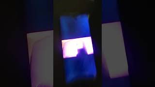 Peixonauta Peppa Pig Polly Pocket Oferecimento