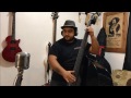 Carlos Estrada - Johnny's got a boom boom (Bass Cover)