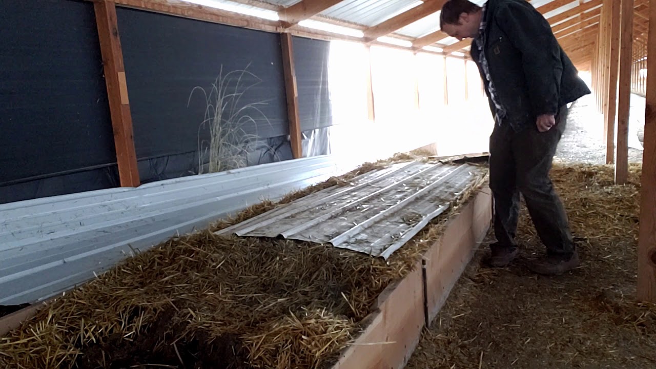 Worm farm spring cleaning!!! - And de-winterizing last years worm bed!