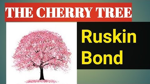 Cherry tree।SUMMARY in HINDI।2022