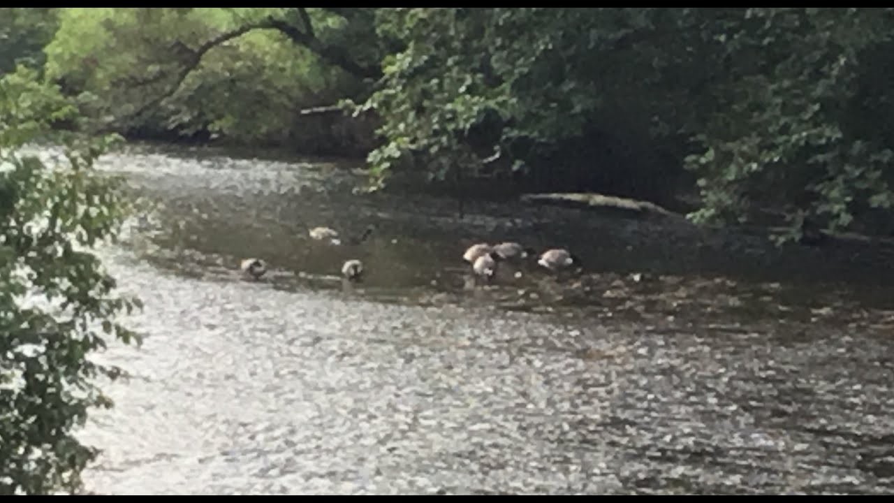 West Jefferson, NC YouTube