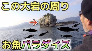 #2 水曜どうでしょうDの目の前に青物の群れが現れる！